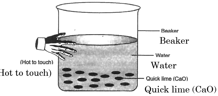 Experimental set-up showing quick lime reacting with water in a beaker, with a hand touching the beaker indicating heat generation