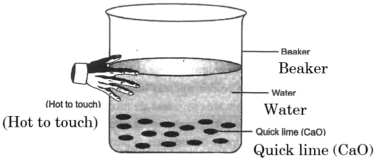 Experimental setup showing reaction of quick lime with water in a beaker, with a hand touching the beaker indicating heat release