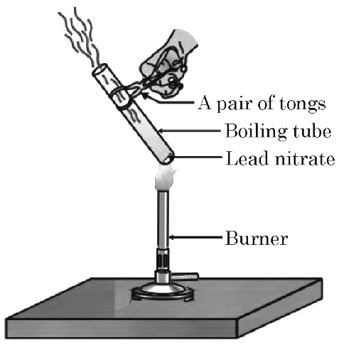 Experimental setup showing heating of lead nitrate in a boiling tube using a burner and pair of tongs.